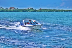 Snorkeling and Speedboat Sealife Marina Cancun