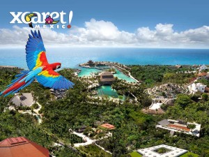 Theme Parks in Riviera Maya